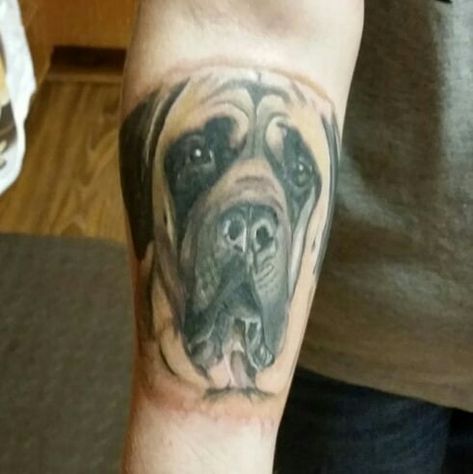 Mastiff Tattoo Ideas, Mastiff Tattoo, French Mastiff, Mastiff Breeds, Giant Dog Breeds, Fierce Animals, Mastiff Puppies, Mastiff Dogs, Giant Dogs