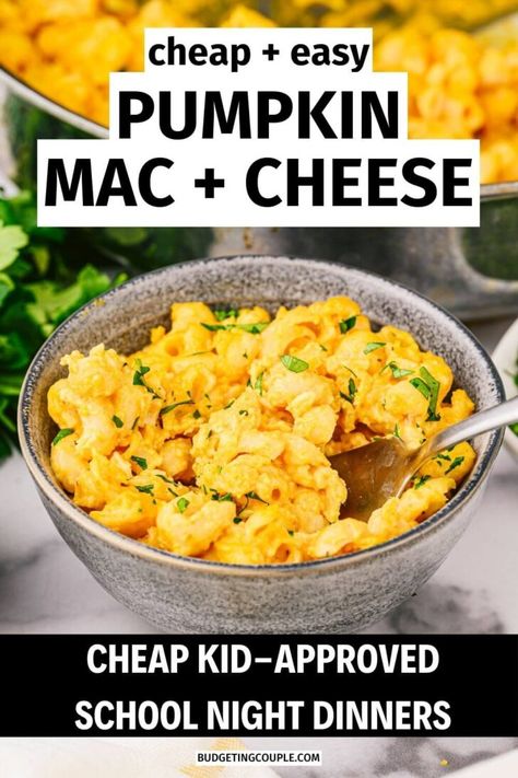 Explore quick and cheap dinner options that won't break the bank. Keep your family satisfied with protein-packed meals that are both affordable and delicious. Whip up kid-friendly dinners with easy and healthy recipes. Conquer picky eating habits with nutritious and tasty recipes designed to please. Make mealtime stress-free with healthy options that even picky eaters will enjoy. If you need yummy recipes that picky eater adults and kids will love, these low carb dinners are a must try for large Dinner For Picky Eaters, School Night Dinner, Budget Friendly Meals, Low Carb Dinners, Packed Meals, Night Dinner Recipes, Pumpkin Mac And Cheese, Easy Crockpot Dinners, Crockpot Dinners