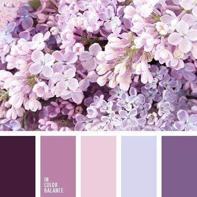 Plum Color Scheme, Plum Color Palette, Peach Color Palettes, Pastel Wedding Flowers, Purple Bedrooms, Purple Color Palettes, Landscape Images, Purple Interior, Purple Decor