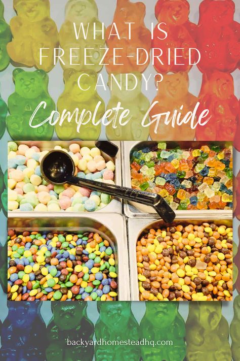 Healthy Freeze Dried Meals, Homemade Freeze Dried Candy, Freeze Drying Candy, Freeze Dried Skittles Diy, How To Freeze Dry Candy, Freeze Drying Food Recipes, Freeze Dried Snacks, Freeze Dry Candy, Freeze Drier