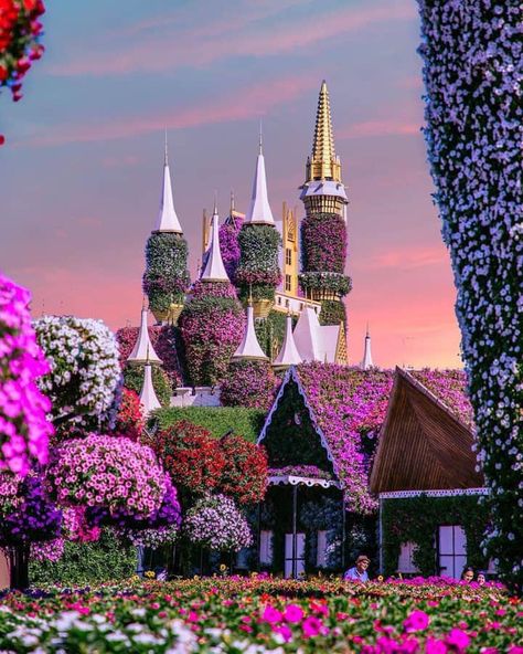 Miracle Garden Dubai, Dubai Garden, Miracle Garden, Medicinal Garden, Gardens Of The World, Garden Kit, Visit Dubai, Beautiful Streets, Beautiful Flowers Garden