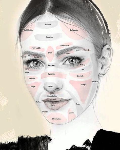 Your face tells a story....Where pigmentation develops, where breakouts occur, where lines & wrinkling form is all part of face diagnosis… Facial Reflexology Chart, Face Reflexology Chart, Chinese Face Map, Face Reflexology, Facial Reflexology, Internal Health, Quadrants Of The Abdomen, House Canopy, Interweave Crochet