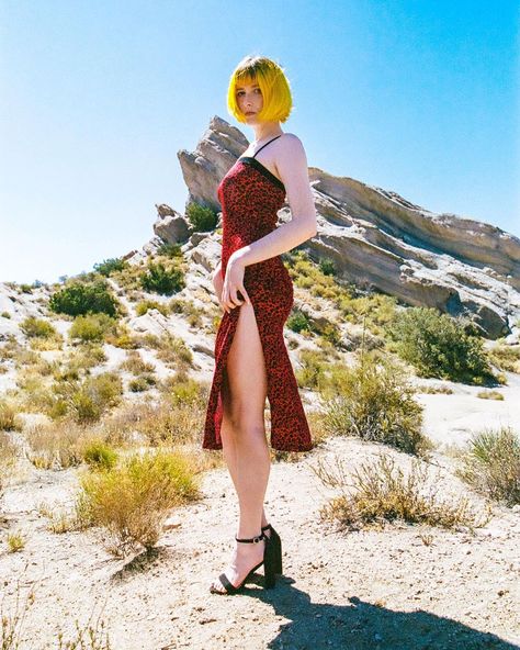 Tessa Violet, French Bob, Multi Colored Hair, Violet Hair, Unknown Facts, White Eyes, Beauty Eyes, Green Hair, Hottest Celebrities