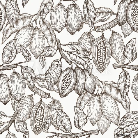 Chocolate Packaging Design, Vegetable Design, Floral Pattern Wallpaper, Cocoa Beans, Fruit Vector, Retro Vector, Hand Drawn Illustration, Packaging Labels Design, Illustration Vintage