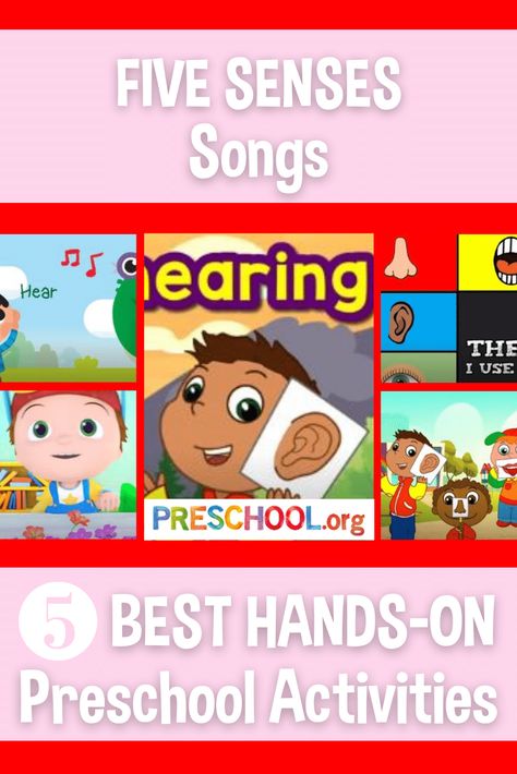 The 5 Best SONGS for FIVE SENSES Preschool Theme - Preschool.org Preschool Five Senses Theme, 5 Senses Songs Preschool, Five Senses Preschool, 5 Senses Activities, Senses Preschool, My Five Senses, Kindergarten Music, Senses Activities, Theme Preschool