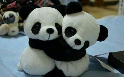 Hug Bespren ko super tight ahmm.. Pandas Hugging, Panda Hug, Panda Images, Baby Panda Bears, Love Panda, Panda Baby, Cute Panda Wallpaper, Panda Art