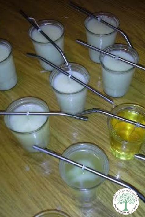 Make Tallow, Diy Candle Light, Candle Magik, Tallow Recipe, Custom Soap Molds, Tallow Candles, Diy Aromatherapy Candles, Make Candles, Making Candles Diy