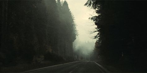 Road Trip Playlist, Alan Wake, Between Two Worlds, Forest Road, Road Trip Hacks, Wow Art, Nature Gif, On The Road Again, Aesthetic Gif