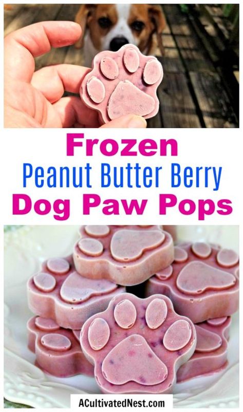 Frozen Dog Treats: Peanut Butter Berry Pops- Give your fur baby a special treat on a hot day and make these delicious homemade frozen dog treats! They contain delicious peanut butter and healthy berries! | frosty dog treat copycat, pupsicle, dog pop, homemade dog treat recipe #recipe #dog #dogTreat #popsicle #puppy #homemade #DIY Homemade Frozen Dog Treats, Frozen Dog Treats Homemade, Dog Treat Recipe, Frozen Dog Treats, Dog Biscuit Recipes, Easy Dog Treats, Healthy Dog Treats Homemade, Dog Pop, Peanut Butter Dog Treats