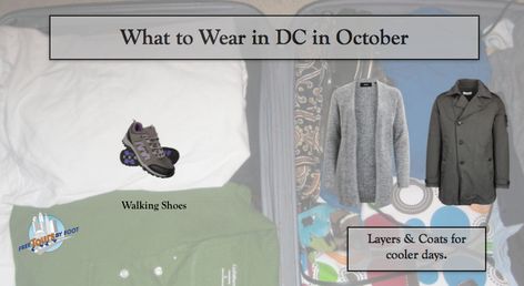 How is the Weather in Washington DC in October | What to Wear | What to Do Washington Dc Fall Outfits, Dc Trip, Halloween Bar, Long Weekend Getaways, Dupont Circle, Dc Travel, Trip Outfits, National Mall, Family Friendly Activities