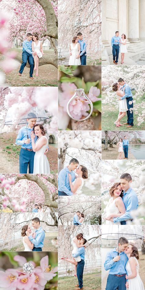 Photoshoot With Cherry Blossoms, Cherry Blossom Couples Photoshoot, Dc Cherry Blossom Engagement Photos, Cherry Blossoms Photoshoot, Cherry Blossom Family Pictures Outfits, Cherry Blossom Photoshoot Family, Cherry Blossom Couple Photos, Cherry Blossom Engagement Photos, Cherry Blossom Family Photos