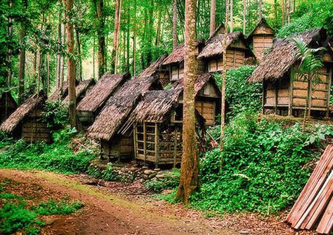 Indonesia Tourism, Treehouse Cabins, Vernacular Architecture, West Java, Outside World, Village Life, Capital City, Traditional House, Real Photos