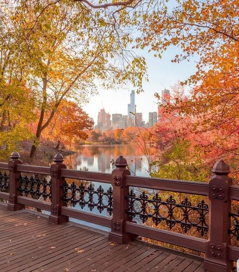 New York In Fall, Fall In The City, Fall Aesthetic Pictures, Florida Fall, Autumn Photos, Get Paid To Travel, Studera Motivation, Paid To Travel, Nyc Fall