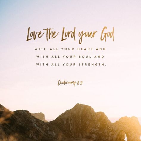 Daily Word – Love Him – freely whole {living} Deuteronomy 6 5, Deuteronomy 6, Uplifting Bible Verses, Greatest Commandment, New American Standard Bible, Daily Word, Inspirational Bible Verses, Favorite Bible Verses, Love The Lord