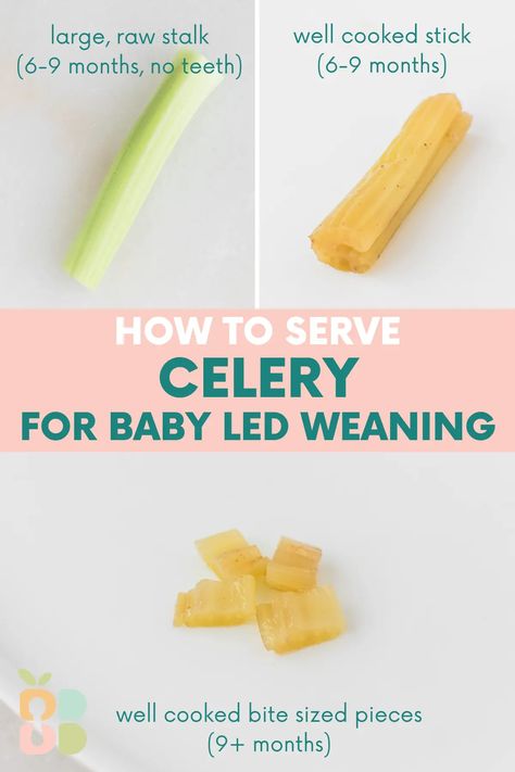 Serving celery for baby led weaning babies is a little more complicated than some foods, but not impossible! Here are the best ways to safely serve celery to babies from 6 months on. Celery For Teething, How To Cook Celery, How To Freeze Celery, Celery Snacks, Celery Recipes, Teething Gums, Baby Led Weaning Recipes, Weaning Recipes, Baby Weaning