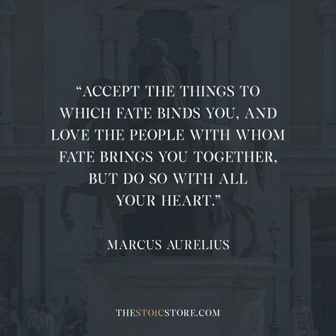 Stoic Love Quotes, Amor Fati Meaning, Stoicism Quotes Relationship, Stoicism Quotes About Love, Amor Fati Quote, Stoisicm Quotes, Amor Fati Tattoo, Meditations By Marcus Aurelius, Meditation Marcus Aurelius Quotes