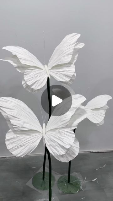 Butterfly 3d Art, Biomimicry Butterfly, Large White Butterfly, Butterfly Biomimicry, Butterfly Installation Art, Paper Butterfly, White Butterfly, Pure White, Sculpture