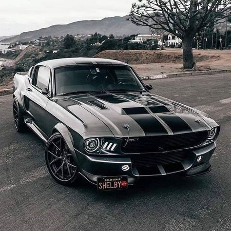 Anasayfa / Twitter | Mustang shelby, Muscle cars mustang, Shelby mustang gt500 Shelby Mustang Gt500, Mobil Mustang, Shelby Gt 500, Muscle Cars Mustang, مرسيدس بنز, Мотоциклы Cafe Racers, Mustang Gt500, Shelby Mustang, Mobil Drift