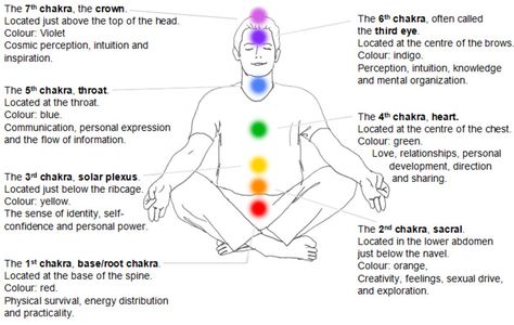 Chakras Location, Chakra Meanings, Body Illustration, Body Connection, The Chakras, Body Pump, Chakra Colors, Chakra System, Seven Chakras