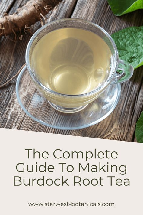 The Complete Guide To Making Burdock Root Tea - Starwest Botanicals Burdock Root Recipes, Burdock Plant, Burdock Root Benefits, Burdock Tea, Burdock Root Tea, Bitter Herbs, Purple Thistle, Herbal Remedies Recipes, Coffee Substitute