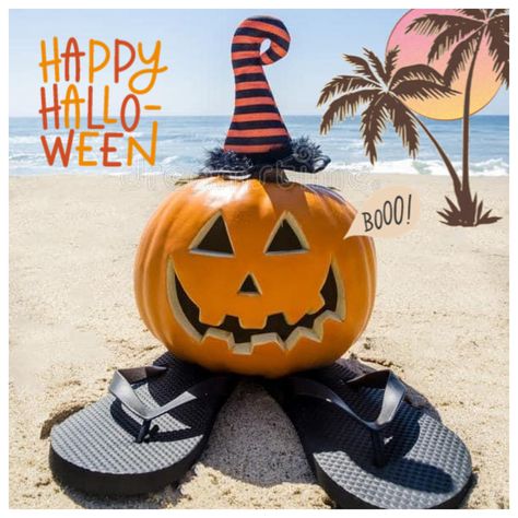 Happy Halloween Beach, October At The Beach, Fall Beach Quotes, Florida Halloween Decorations, Florida Halloween, Coastal Halloween, Fall In Florida, Halloween Beach, Florida Funny