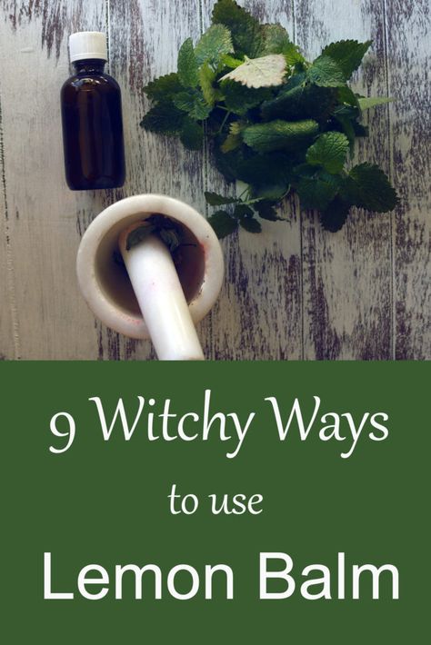 9 Ways to Use Lemon Balm in Witchcraft - Moody Moons Lemon Balm Uses Witchcraft, Moon Herbs Witchcraft, Lemon Balm Spiritual Uses, Lemon Balm Smudge Stick, Lemon Balm Magic, Lemon Balm Witchcraft, Lemon Balm Magical Properties, Things To Do With Lemon Balm, Fresh Lemon Balm Uses