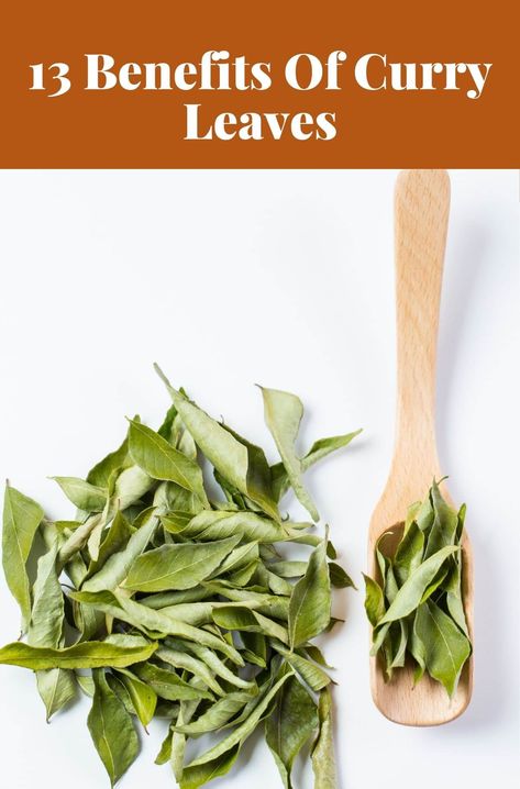 13 Benefits Of Curry Leaves Curry Leaves Recipes, Curry Benefits, Curry Leaves Benefits, Curry Tree, Benefits Of Curry, Curry Leaf Plant, Leaf Health, Herbal Leaves, Curry Leaf