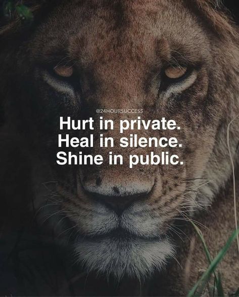 Lioness Quotes, Leo Quotes, Lion Quotes, Motivational Success, Strong Mind Quotes, Thinking Quotes, Warrior Quotes, Lesson Quotes, A Lion