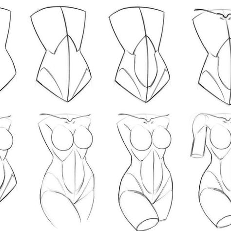 Womans Torso Reference, Female Torso Anatomy Drawing, How To Draw The Female Torso, Hips Art Reference, Drawing Female Chest, How To Draw Female Anatomy Step By Step, Chest Reference Female, Anatomy Drawing Woman, Anatomy Reference Sketch