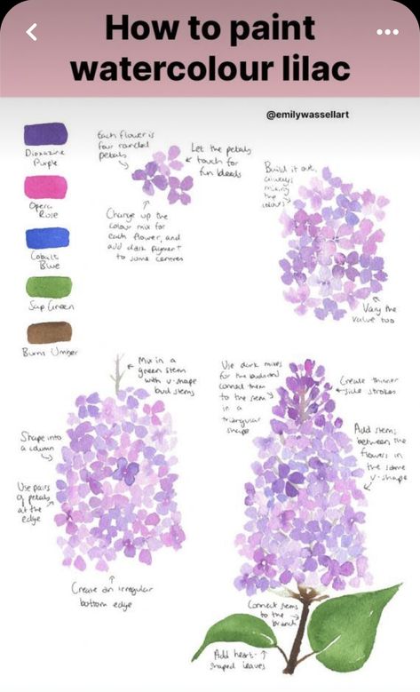 Flower Watercolour Tutorial, How To Draw Lilacs Step By Step, How To Paint Lilacs, Watercolor Lilacs Tutorial, How To Watercolour Paint, How To Paint Watercolour Flowers, Learning To Paint Beginners, Lilac Watercolor Paintings, Watercolour Beginner Ideas