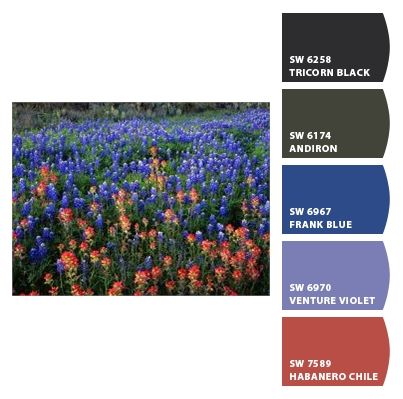 Texas State's flower color palette Bluebonnet Color Palette, Texas Wildflower Color Palette, Bluebonnet Decor, Flower Color Palette, Hex Color, Grass Wall, Hex Color Palette, Colour Inspiration, Texas State