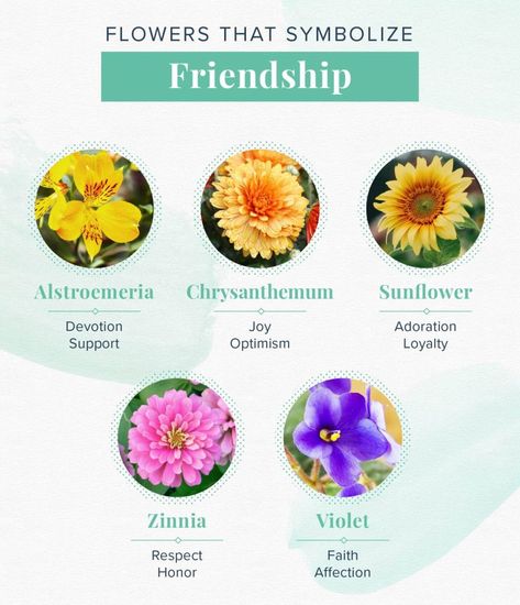 15 Flowers That Mean Love to Add to Your Bouquet | ProFlowers Friendship Image, Friendship Flower, Friendship Articles, Small Wave Tattoo, Friendship Flowers, Friendship Images, Quotes Friends, Flower Meanings, Beautiful Bugs