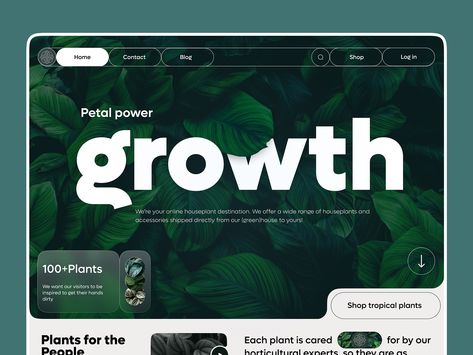 Plant Website Design, Green Landing, Plant Website, Plant Shop, Tropical Plants, Page Design, Ui Design, Landing Page, Creative Professional