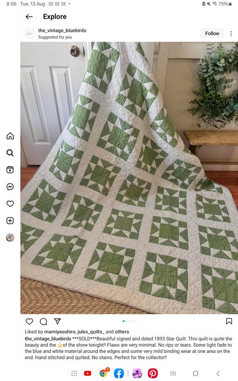 Sage Green Quilt, Amish Quilt Patterns, Fun Quilts, Two Color Quilts, Black And White Quilts, White Quilts, Quilting Designs Patterns, Homemade Quilts, Amish Quilts