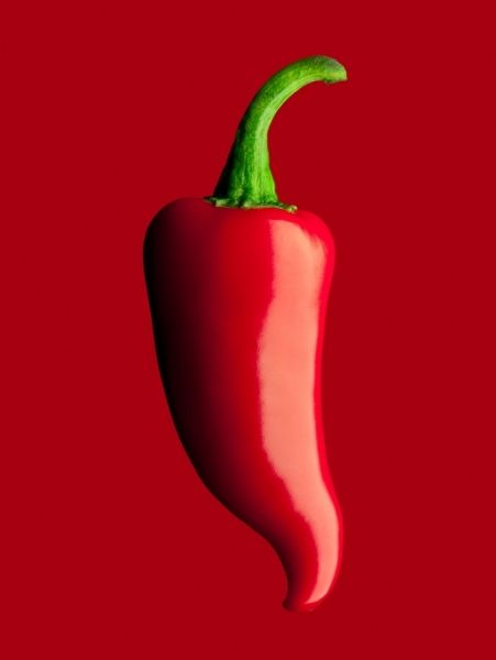 Red Hot photographed by Dana Hursey- ONE EYELAND Colors Of Fire, I See Red, Simply Red, Red Chili Peppers, Foto Tips, Red Hot Chili Peppers, Red Chilli, Red Aesthetic, Color Therapy