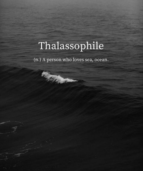 Phobia Words, Words In Different Languages, Beautiful Words In English, Words To Describe Someone, Definition Quotes, Unique Words Definitions, Words That Describe Feelings, Uncommon Words, Descriptive Words