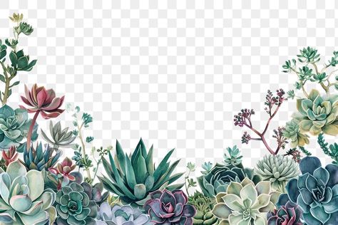 Plant Transparent Background, Succulent Border, Png Plants, Plant Border, Aesthetic Pngs, Plants Watercolor, Png Flower, Border Png, Flowers Png