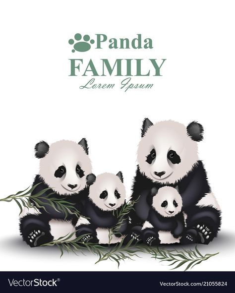 Panda Family Illustration, Panda Pictures, Cute Animals With Funny Captions, Panda Family, Panda Drawing, Family Cute, Family Vector, Jungle Illustration, Animal Illustration Art