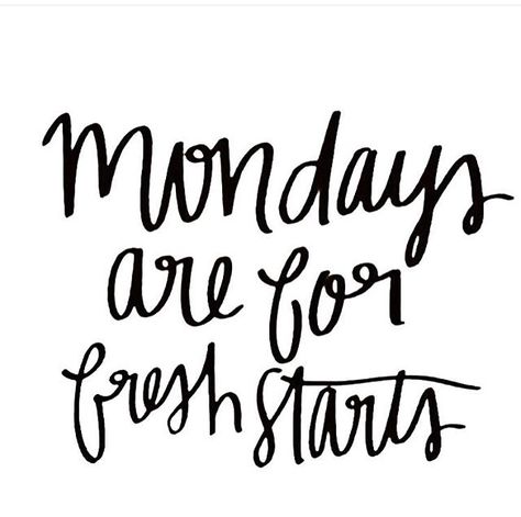 Mondays are for fresh starts I Love Mondays, Love Mondays, Monday Motivation Quotes, Weekday Quotes, Monday Inspiration, Monday Quotes, Tampa Florida, Work Quotes, Fresh Start