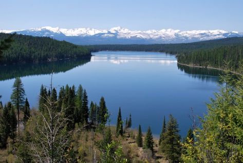 9. Holland Lake Seeley Lake Montana, Montana Bucket List, Driving Road, Lake Montana, Montana Travel, Camping Style, Big Sky Country, Continental Divide, We Were There