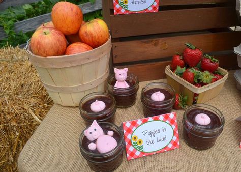 Nursery Themes Farm, Farm Party Foods, Chick Cake, Piggy Party, Mud Cakes, Farmyard Party, Barnyard Bash, Freshman Orientation, Animal Snacks