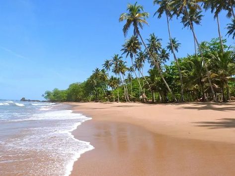 Ghana is known for its beautiful coastlines and pristine beaches. In this section, we will explore the top 10 cleanest beaches in Ghana, where visitors can enjoy clear waters, soft sands, and a pollution-free environment. Top 10 Cleanest Beaches In Ghana Below are the cleanest beaches in Ghana; 1. Labadi Beach Located in Accra, Labadi […] The post Top 10 Cleanest Beaches In Ghana appeared first on Xorlali.com. Stilt Houses, Forest Resort, Cape Coast, Clean Beach, Secluded Beach, Cultural Experience, Turquoise Water, West Africa, Beach Resort