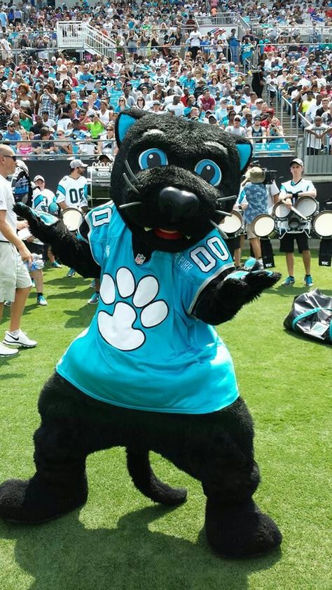 Sir Purr, Carolina Panthers mascot! Panther Nation, Carolina Panthers Football, Carolina Football, Panthers Football, Nfl Carolina Panthers, Carolina Girl, Team Mascots, A Football, Football Game