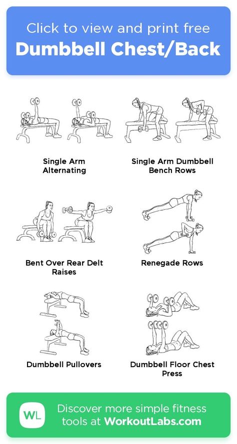 Chest And Back Dumbbell Workout, Back And Chest Workout Women, Chest And Back Workout Women, Back Workout Dumbell, Back Dumbbell Workout, Back And Chest Workout, Chest Back Workout, Best Workout Split, Upper Body Workout Gym