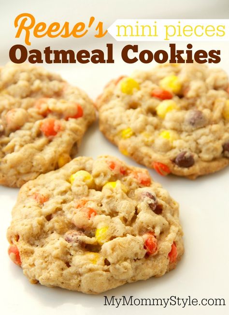 A soft chewy oatmeal cookie with Reese's mini pieces inside. Find Reese's mini pieces in the baking aisle next to the chocolate chips. Soft Chewy Oatmeal Cookies, Reese's Pieces Cookies, Innovative Recipes, Reeces Pieces, Oatmeal Cookies Chewy, Pecan Nuts, Molasses Cookies, Sweet Cravings, Popcorn Recipes