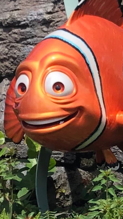 This is why he keeps on losing nemo Finding Nemo Meme, Nemo Funny, Marlin Finding Nemo, Finding Nemo, Meme Faces, Just Girly Things, Funny Faces, Girly Things, Funny Pictures