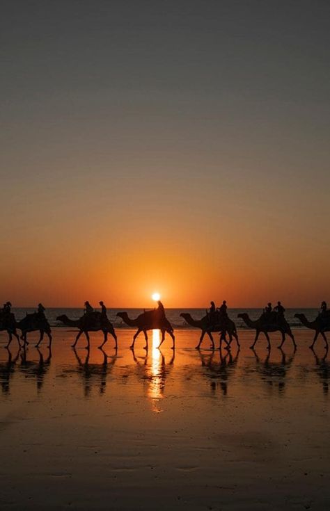 Cable Beach Broome, Broome Australia, Australia Sunset, Broome Western Australia, Australia Pictures, 2024 Moodboard, Australia Tourism, Australian Travel, Return On Investment