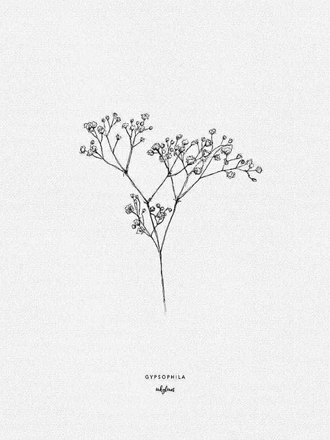 Elderflower Drawing, Baby’s Breath Drawing, Elderflower Tattoo, Gypsophila Drawing, Baby's Breath Drawing, Small Abstract Tattoo, Gypsophila Tattoo, Tattoo Botanica, Abstract Flower Tattoo