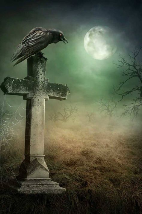 Decoding Dead Crow Meaning: What Does It Truly Mean? Crow Symbolism, Halloween Backrounds, Crow Meaning, Grave Art, Crow Pictures, Nightmares Art, Antique World Map, Gothic Fantasy Art, Sea Wall Art