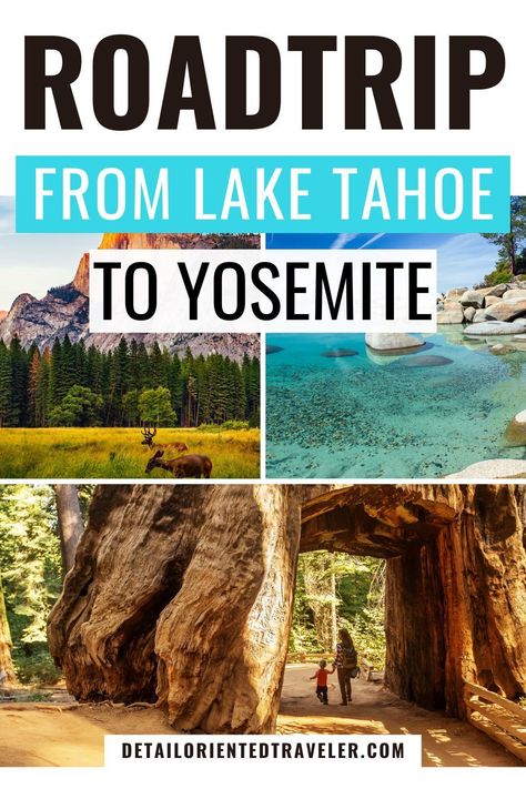 Lake Tahoe to Yosemite is one of the best road trips in California. There are a lot of options for driving and how to get from Lake Tahoe to Yosemite, and it changes depending on the time of year and what is open. Reno To Lake Tahoe, Yosemite Vacation, Lake Tahoe Trip, Lake Tahoe Summer, Tahoe Trip, Yosemite Trip, Lake Tahoe Vacation, Best Road Trips, California Parks